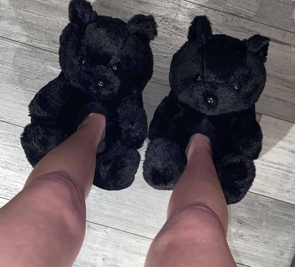 Teddy Bear Slides